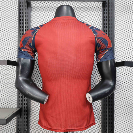 MAILLOT CONCEPT MANCHESTER UNITED