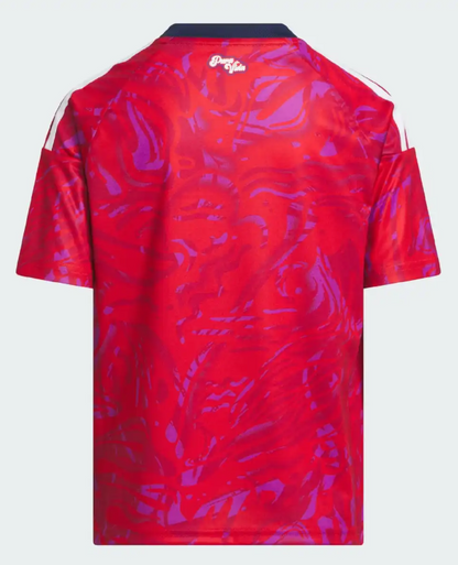 MAILLOT COSTA RICA DOMICILE COUPE DU MONDE 2026