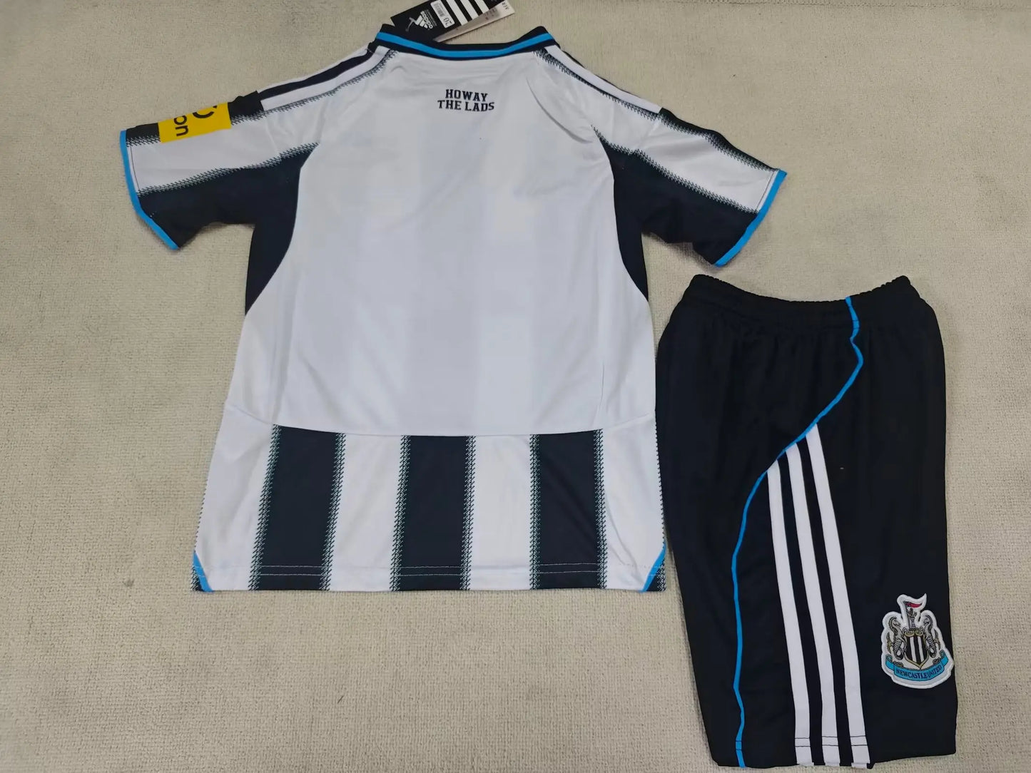 ENSEMBLE NEWCASTLE DOMICILE 2025/2026