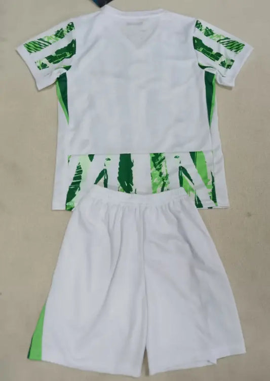 ENSEMBLE NIGERIA DOMICILE 2025/2026