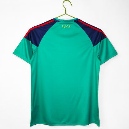 MAILLOT GARDIEN RETRO ESPAGNE 2010/2011
